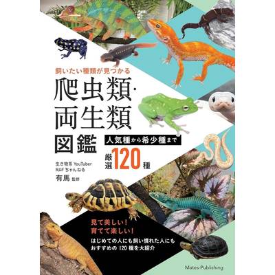 飼いたい種類が見つかる 爬虫類・両生類図鑑 人気種から希少種まで厳選120種 ／ メイツ出版