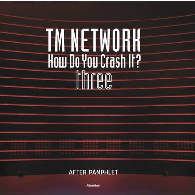 TM NETWORK How Do You Crash It? three アフター・パンフレット ／ リットーミュージック